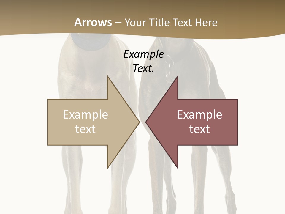 Two Dogs Standing Next To Each Other On A White Background PowerPoint Template