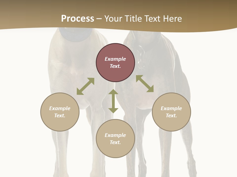 Two Dogs Standing Next To Each Other On A White Background PowerPoint Template