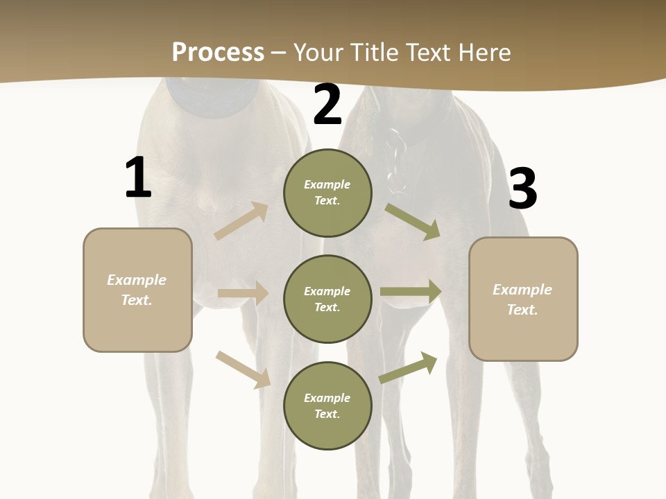 Two Dogs Standing Next To Each Other On A White Background PowerPoint Template