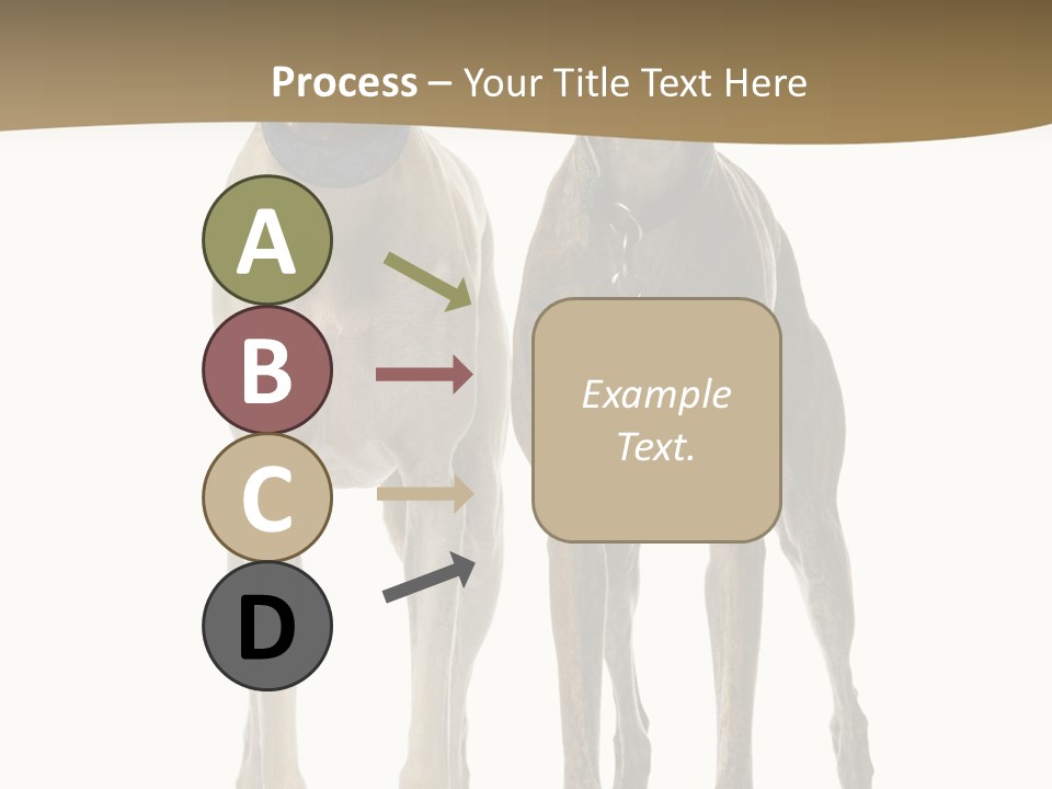 Two Dogs Standing Next To Each Other On A White Background PowerPoint Template