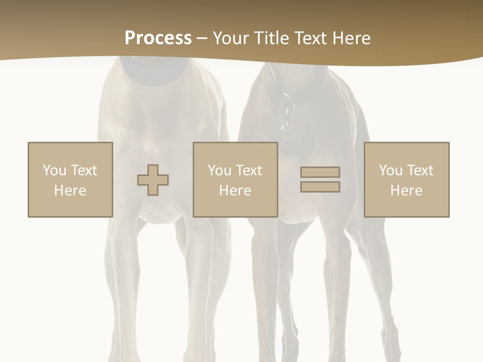 Two Dogs Standing Next To Each Other On A White Background PowerPoint Template