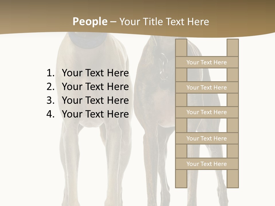 Two Dogs Standing Next To Each Other On A White Background PowerPoint Template