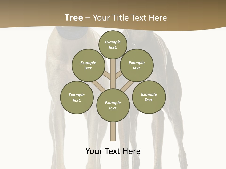 Two Dogs Standing Next To Each Other On A White Background PowerPoint Template