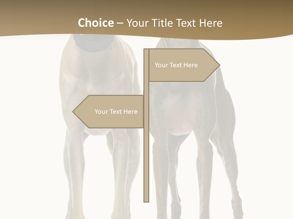 Two Dogs Standing Next To Each Other On A White Background PowerPoint Template