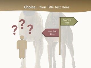 Two Dogs Standing Next To Each Other On A White Background PowerPoint Template