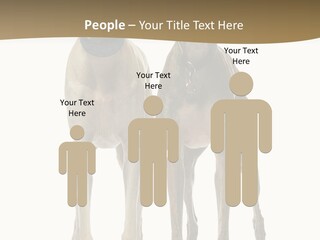 Two Dogs Standing Next To Each Other On A White Background PowerPoint Template