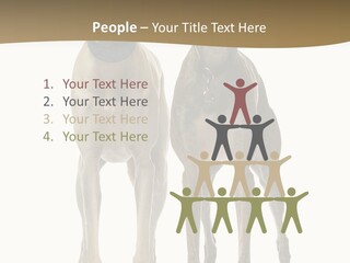 Two Dogs Standing Next To Each Other On A White Background PowerPoint Template