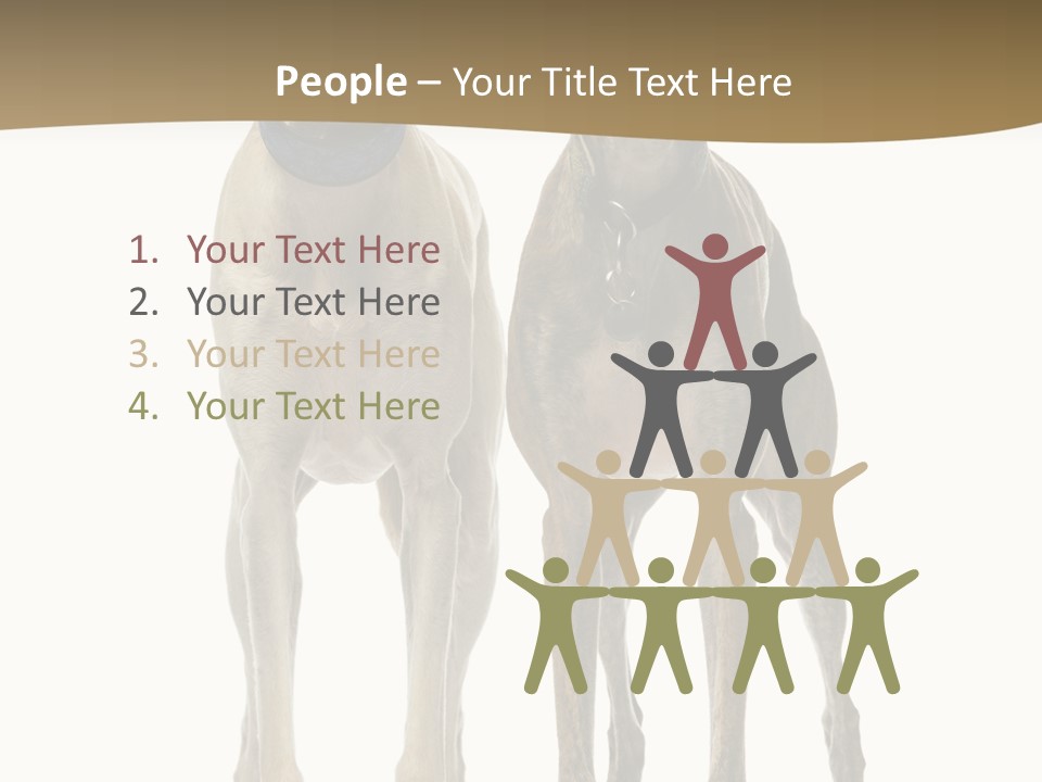 Two Dogs Standing Next To Each Other On A White Background PowerPoint Template