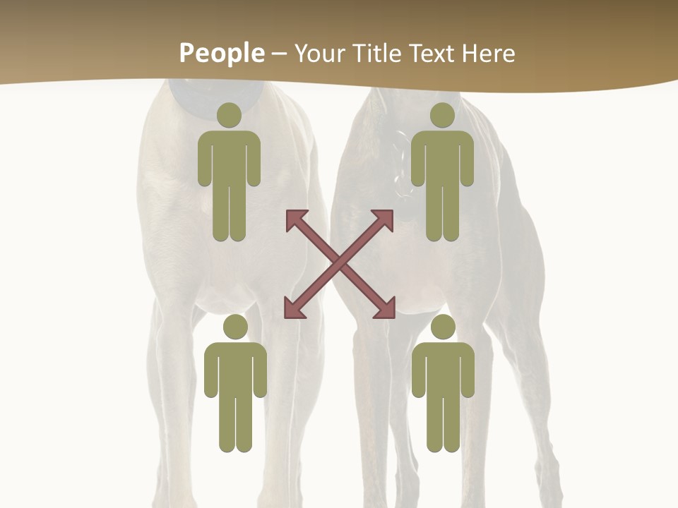 Two Dogs Standing Next To Each Other On A White Background PowerPoint Template