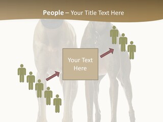 Two Dogs Standing Next To Each Other On A White Background PowerPoint Template