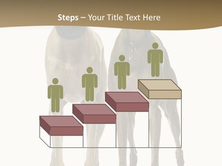 Two Dogs Standing Next To Each Other On A White Background PowerPoint Template