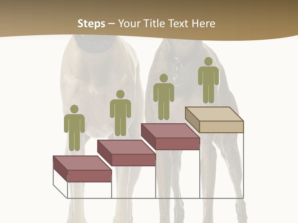 Two Dogs Standing Next To Each Other On A White Background PowerPoint Template