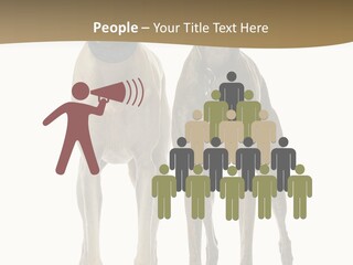 Two Dogs Standing Next To Each Other On A White Background PowerPoint Template