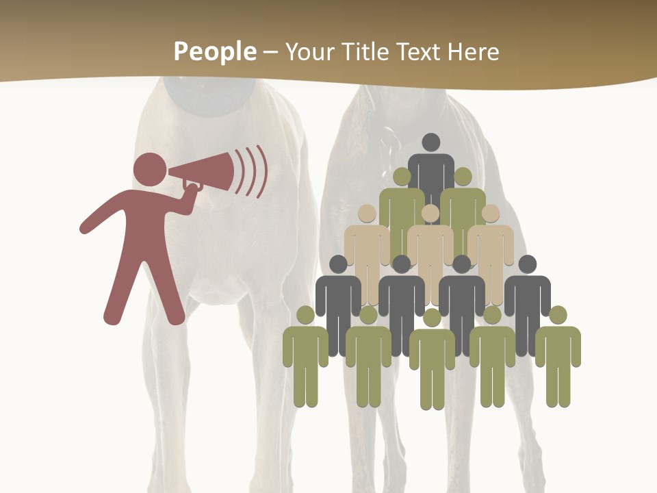 Two Dogs Standing Next To Each Other On A White Background PowerPoint Template