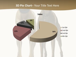 Two Dogs Standing Next To Each Other On A White Background PowerPoint Template