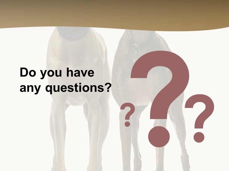 Two Dogs Standing Next To Each Other On A White Background PowerPoint Template