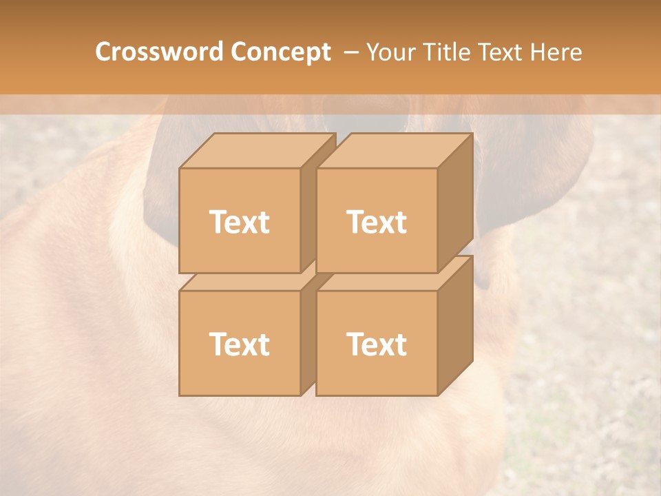 A Brown Dog With A Blue Tag On It's Collar PowerPoint Template