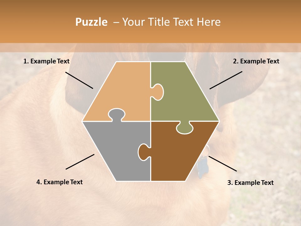 A Brown Dog With A Blue Tag On It's Collar PowerPoint Template