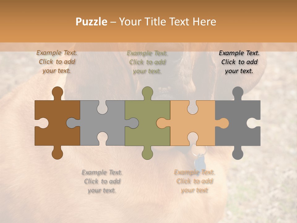 A Brown Dog With A Blue Tag On It's Collar PowerPoint Template