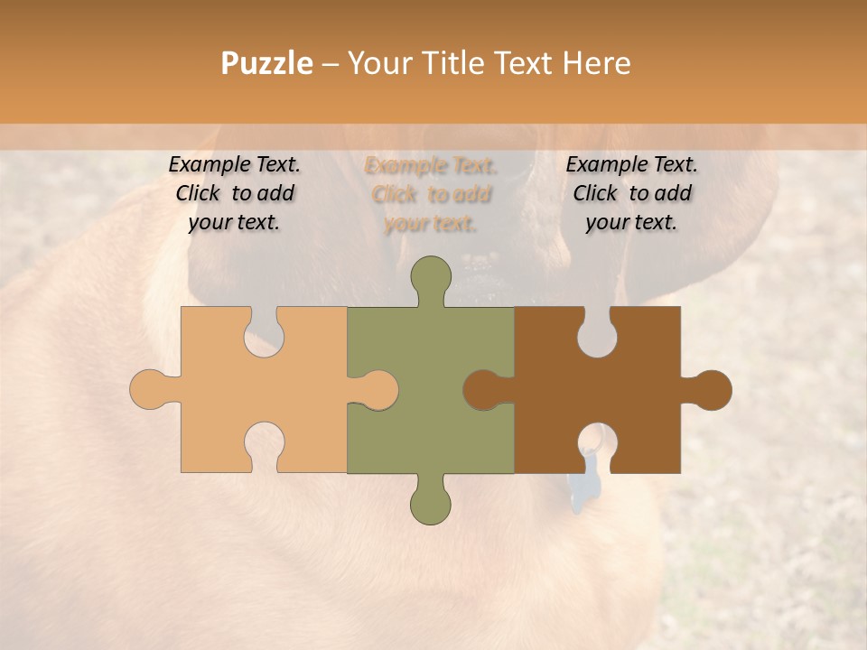 A Brown Dog With A Blue Tag On It's Collar PowerPoint Template