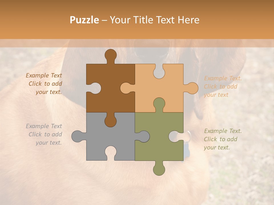 A Brown Dog With A Blue Tag On It's Collar PowerPoint Template