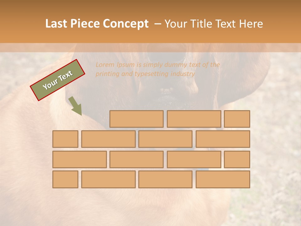 A Brown Dog With A Blue Tag On It's Collar PowerPoint Template