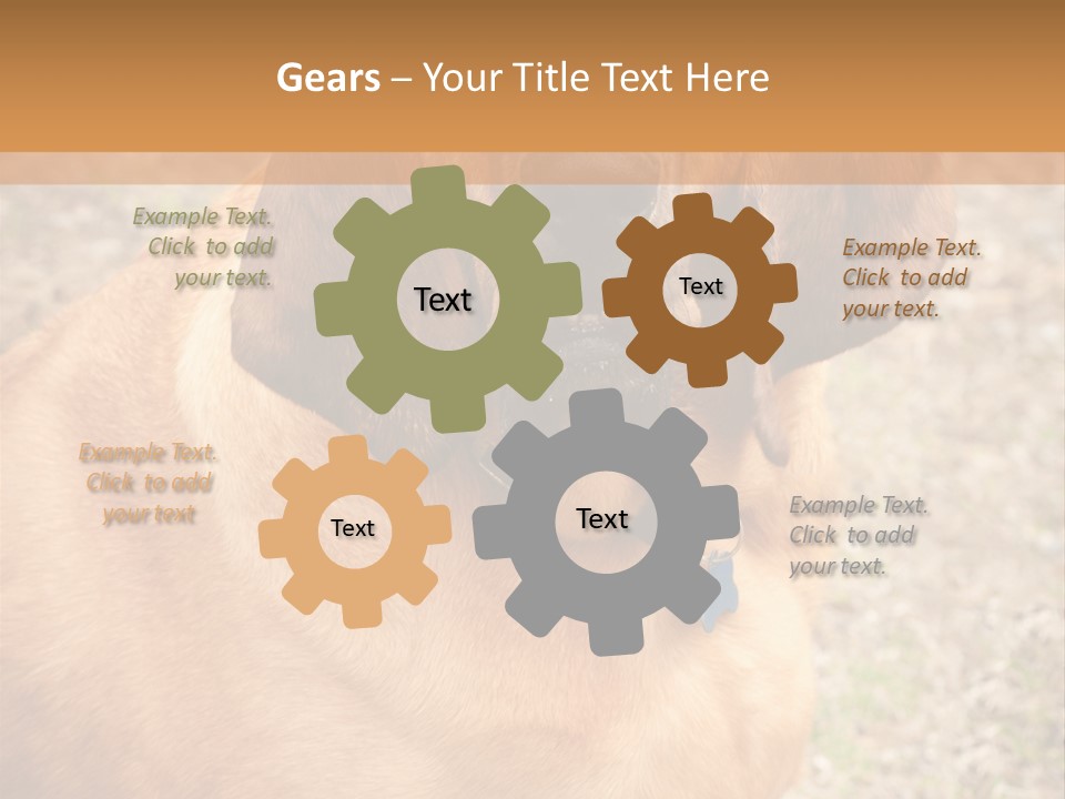 A Brown Dog With A Blue Tag On It's Collar PowerPoint Template