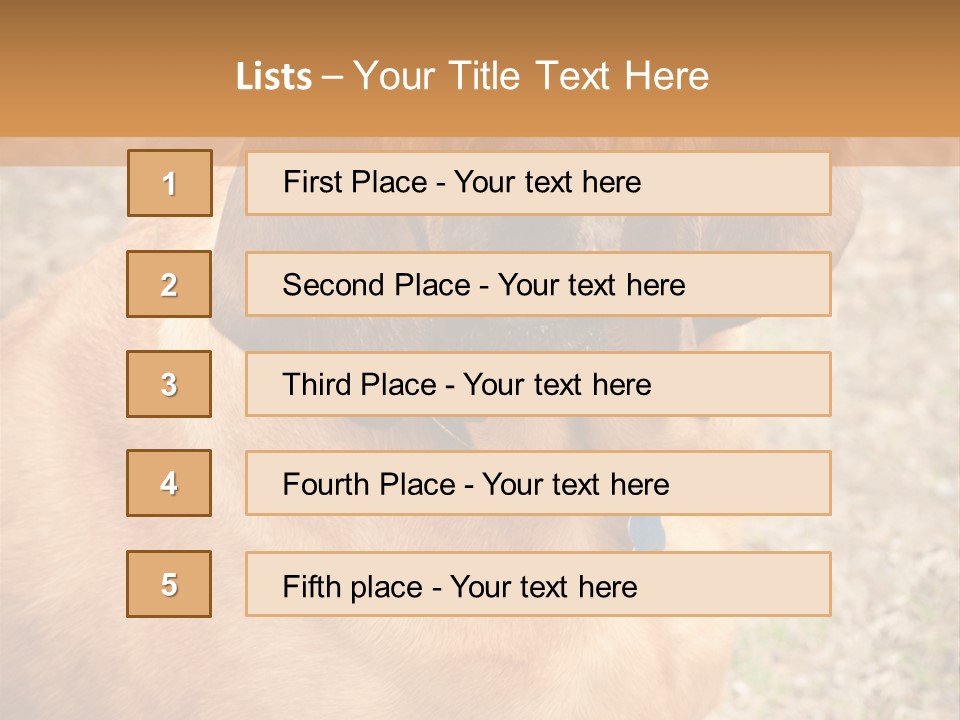 A Brown Dog With A Blue Tag On It's Collar PowerPoint Template