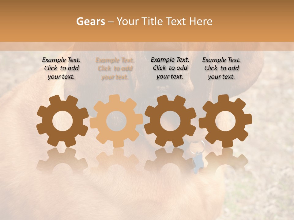 A Brown Dog With A Blue Tag On It's Collar PowerPoint Template