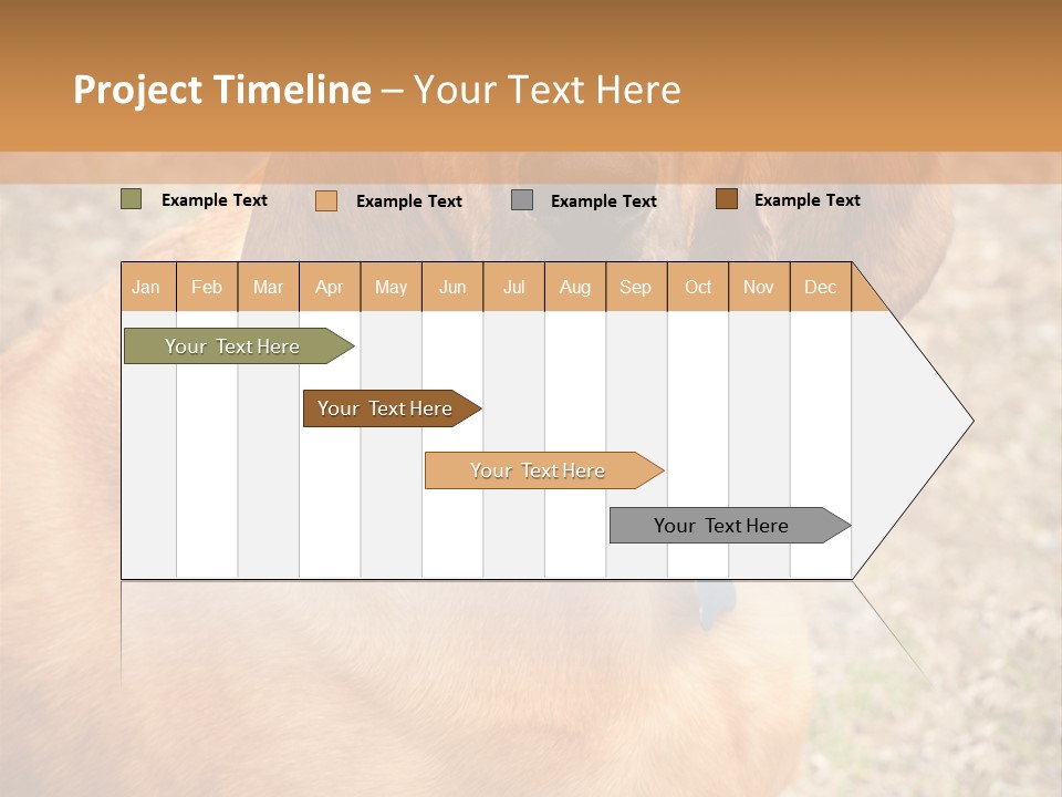 A Brown Dog With A Blue Tag On It's Collar PowerPoint Template