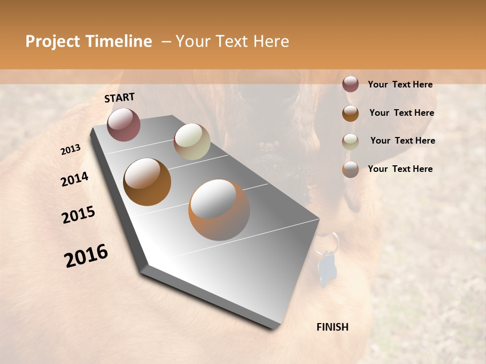 A Brown Dog With A Blue Tag On It's Collar PowerPoint Template