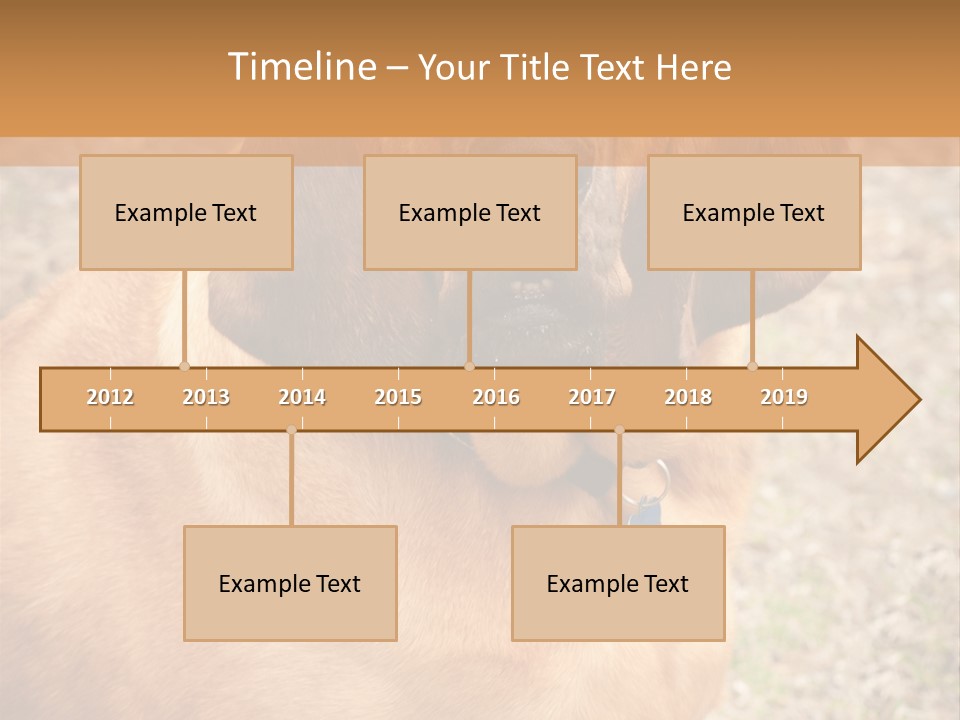 A Brown Dog With A Blue Tag On It's Collar PowerPoint Template