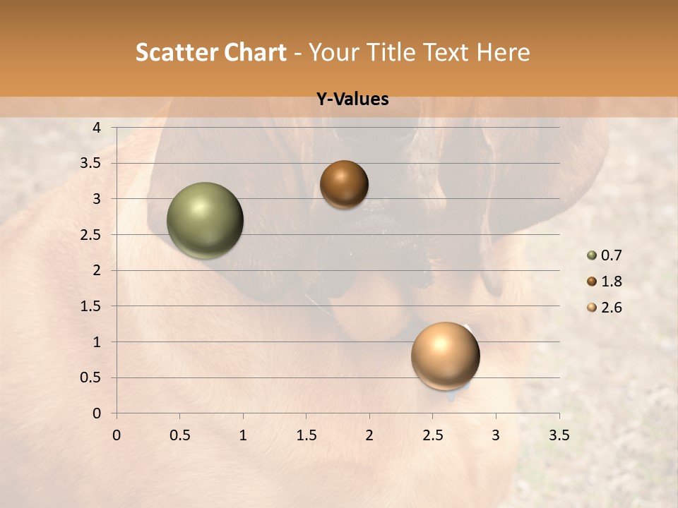 A Brown Dog With A Blue Tag On It's Collar PowerPoint Template