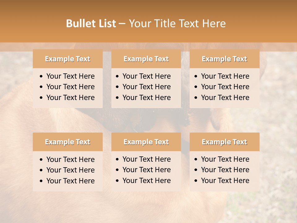 A Brown Dog With A Blue Tag On It's Collar PowerPoint Template