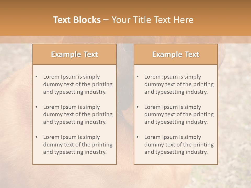 A Brown Dog With A Blue Tag On It's Collar PowerPoint Template