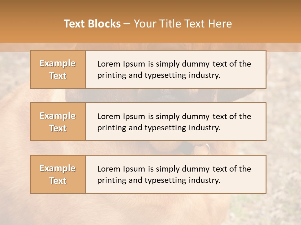 A Brown Dog With A Blue Tag On It's Collar PowerPoint Template