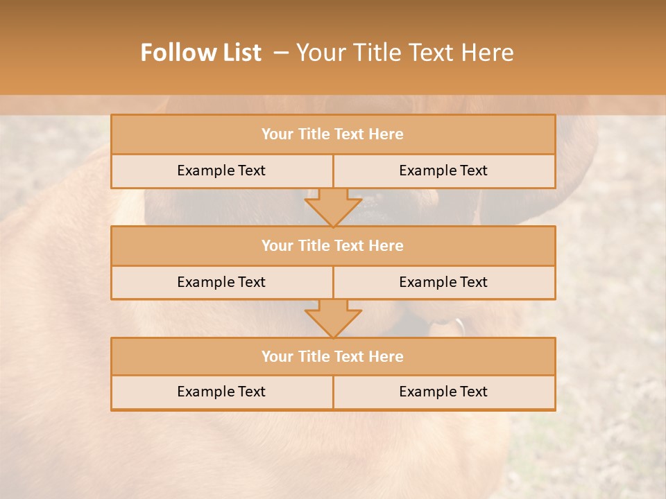 A Brown Dog With A Blue Tag On It's Collar PowerPoint Template