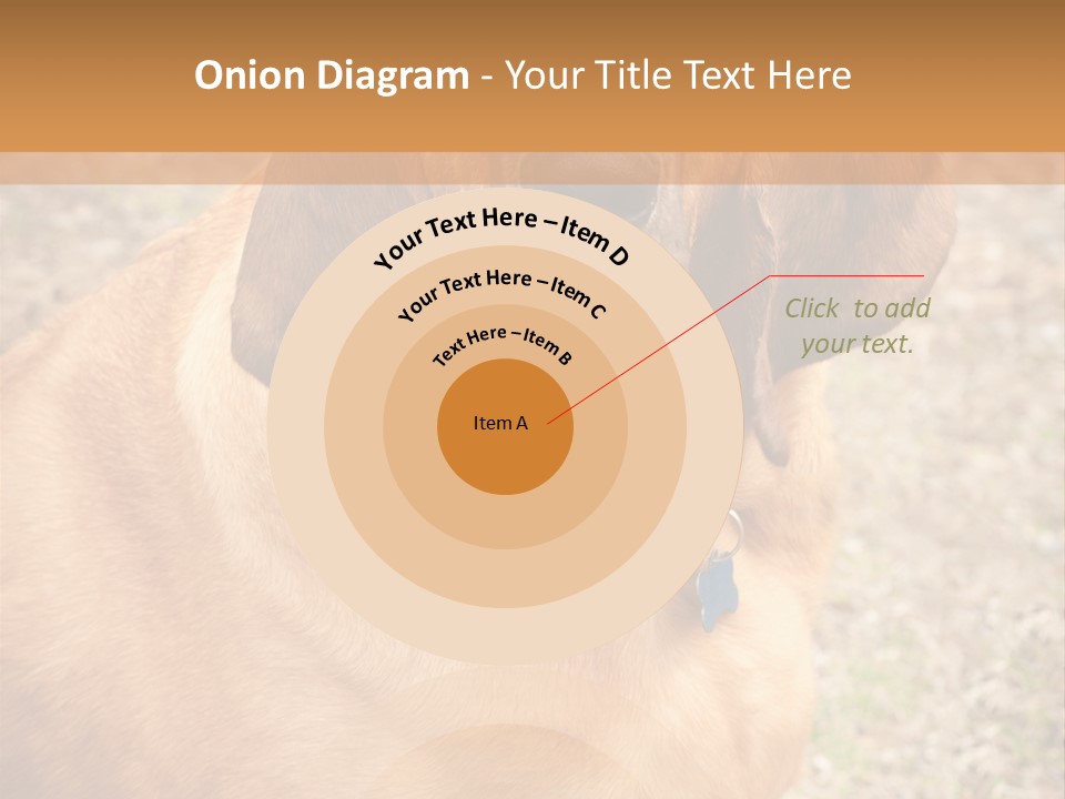 A Brown Dog With A Blue Tag On It's Collar PowerPoint Template