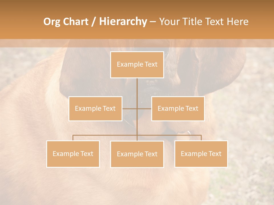 A Brown Dog With A Blue Tag On It's Collar PowerPoint Template