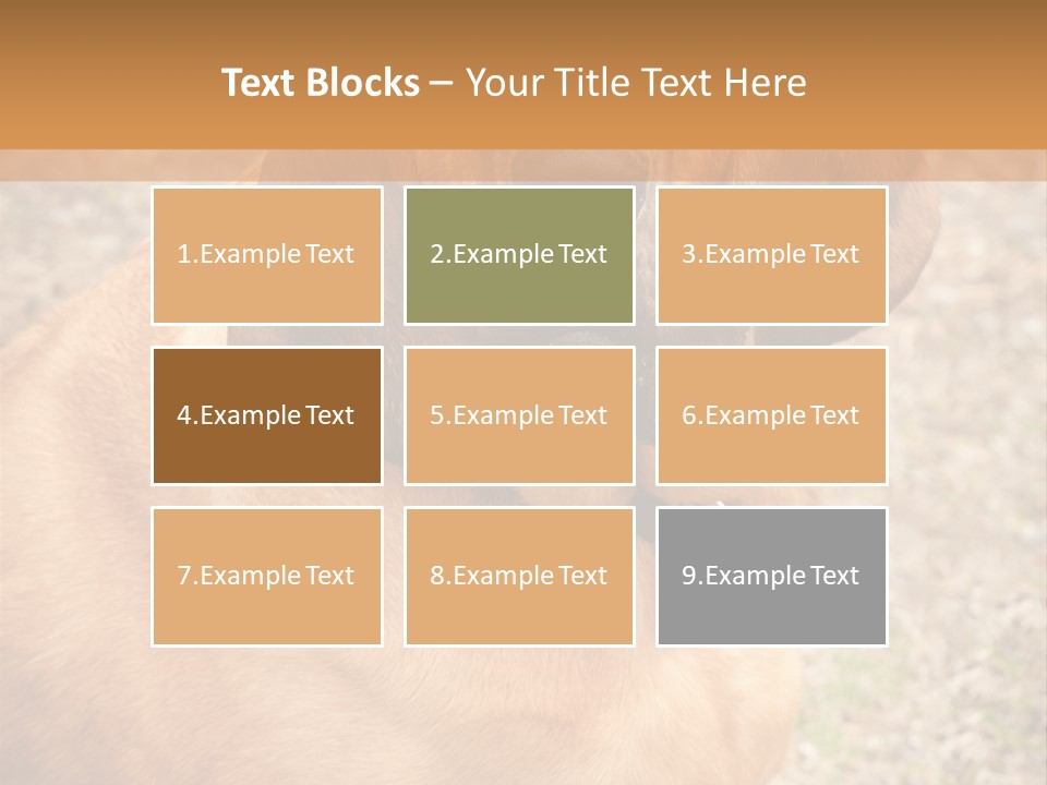 A Brown Dog With A Blue Tag On It's Collar PowerPoint Template