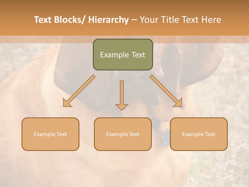 A Brown Dog With A Blue Tag On It's Collar PowerPoint Template