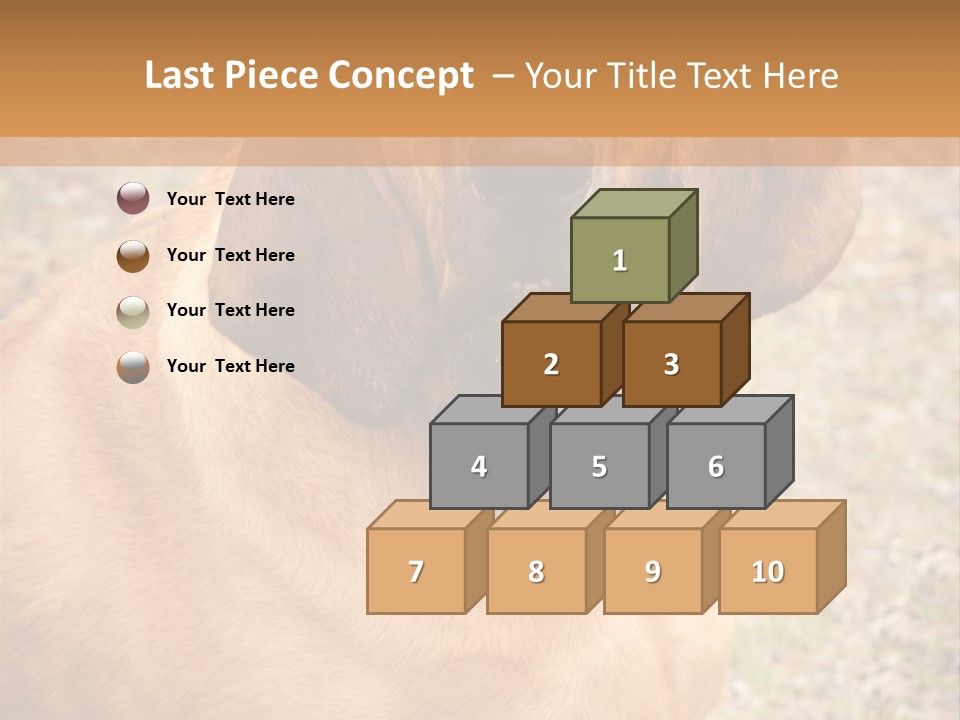A Brown Dog With A Blue Tag On It's Collar PowerPoint Template