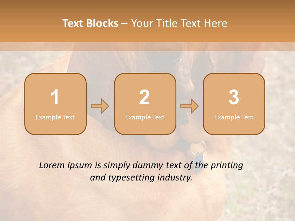 A Brown Dog With A Blue Tag On It's Collar PowerPoint Template