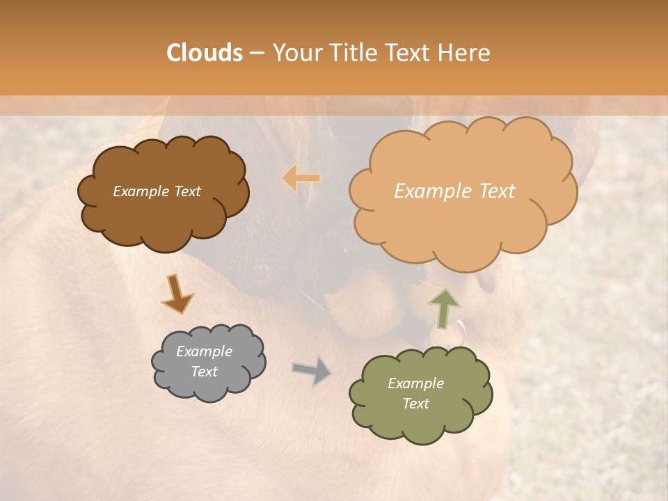 A Brown Dog With A Blue Tag On It's Collar PowerPoint Template
