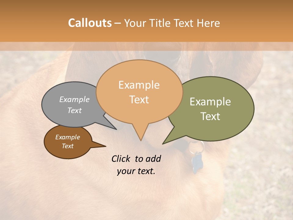 A Brown Dog With A Blue Tag On It's Collar PowerPoint Template