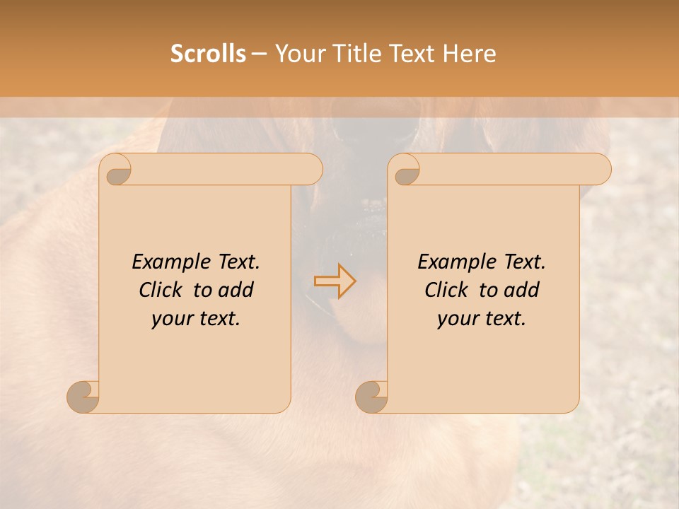 A Brown Dog With A Blue Tag On It's Collar PowerPoint Template