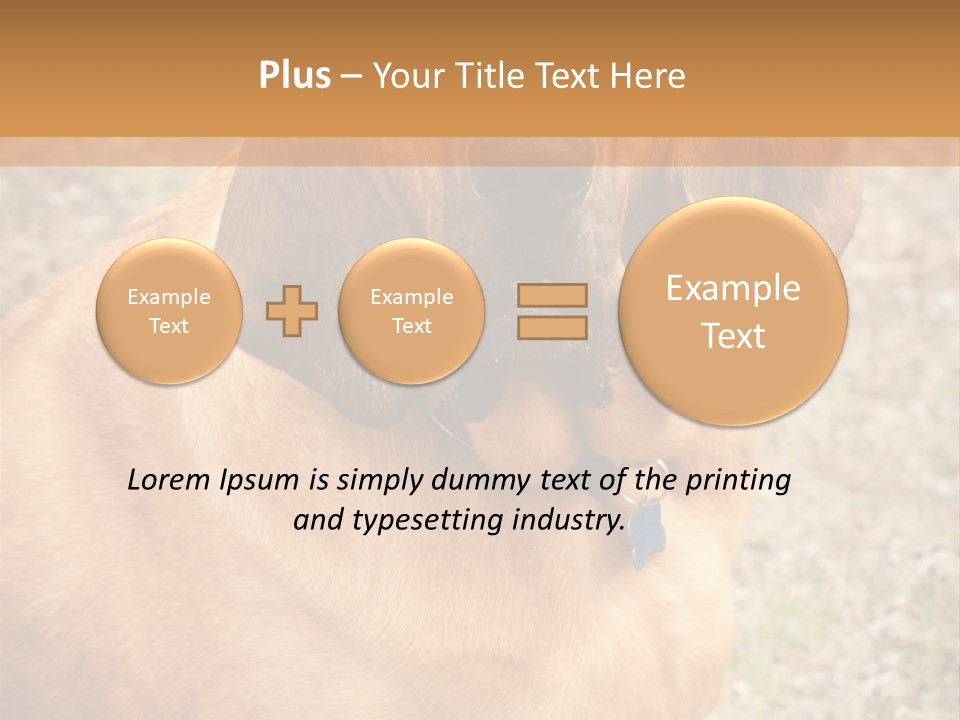 A Brown Dog With A Blue Tag On It's Collar PowerPoint Template