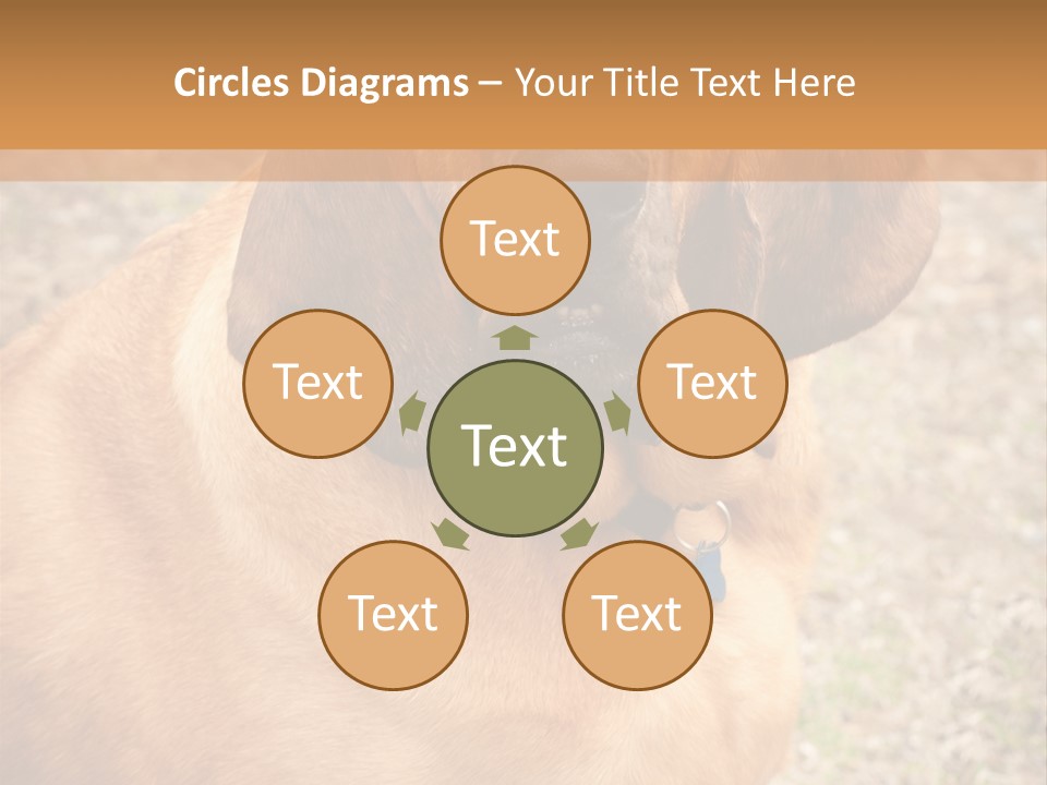 A Brown Dog With A Blue Tag On It's Collar PowerPoint Template