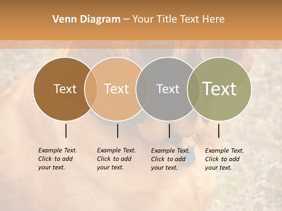 A Brown Dog With A Blue Tag On It's Collar PowerPoint Template