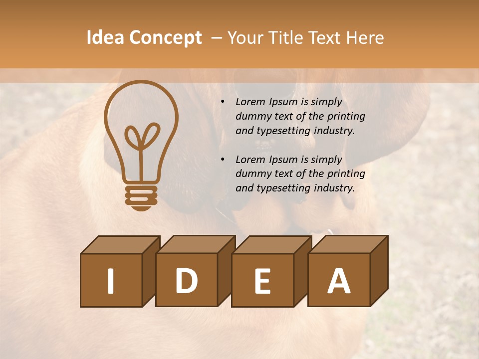 A Brown Dog With A Blue Tag On It's Collar PowerPoint Template